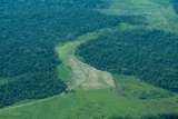Aquí tiene una buena razón para volcarse a proteger la Amazonia colombiana