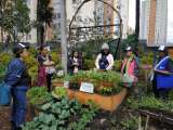 Agéndese para la cuarta edición del Festival De Huerta en Huerta