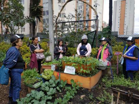 Huerta Comunitaria de Monterrey: un espacio que reverdece Kennedy