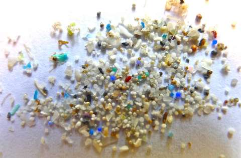 Los cerebros humanos estarían acumulando cada vez más microplásticos