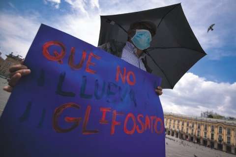 Continúa la discusión sobre glifosato: demandas en EE. UU. insisten en sus efectos dañinos