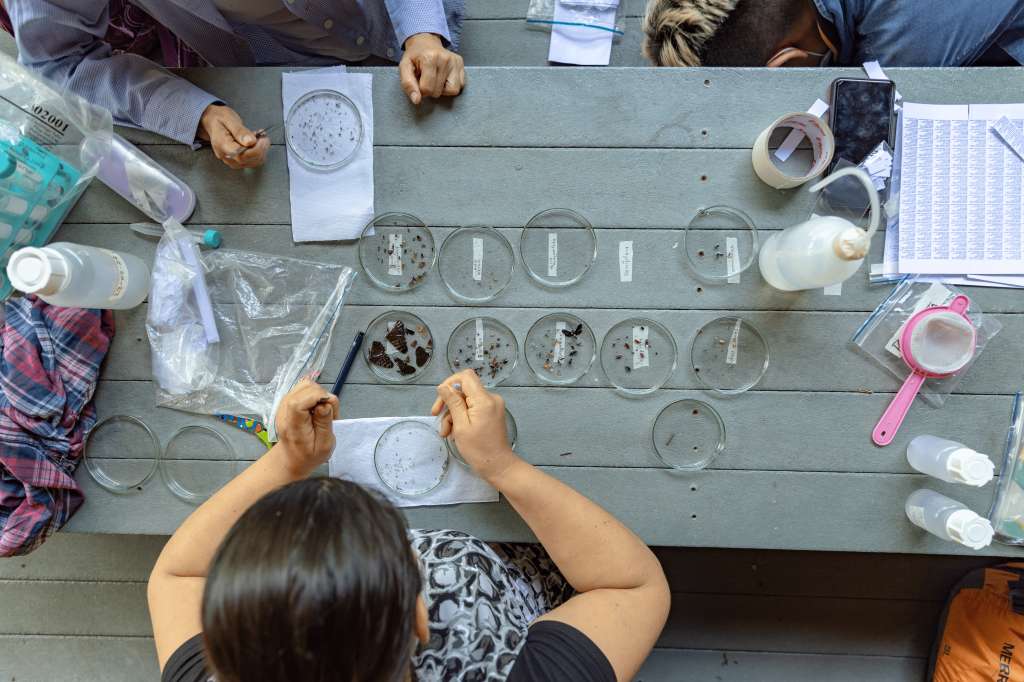 El Instituto Humboldt está adelantando varios estudios en genómica y bioprospección.