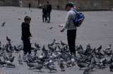 Opinión: Las palomas en las Plaza de Bolívar