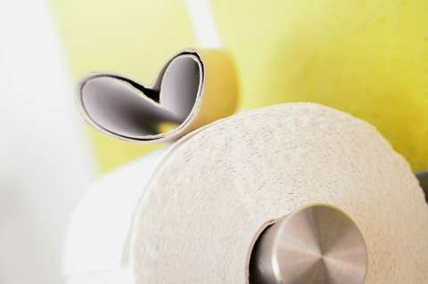 Esta planta sirve como alternativa al papel higiénico en tu hogar: no te irritará