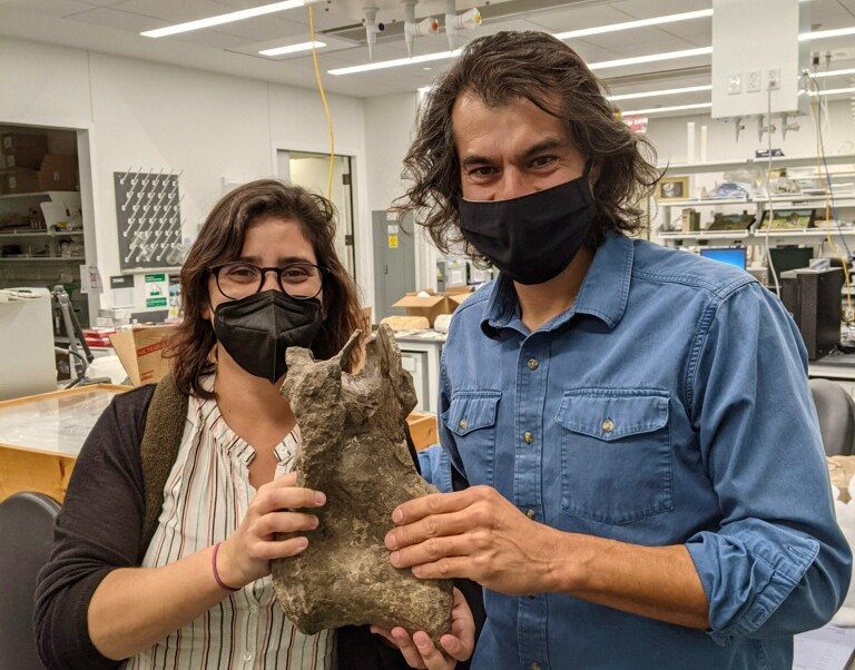 Los paleontólogos Mónica Carvalho y Jeffrey Wilson Mantilla con la vértebra del "Perijasaurus".