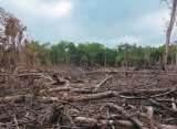 La empresa que buscará beneficiar a 148 familias en el Amazonas