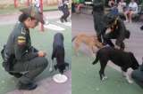 Feliz Navidad: Policía realiza cena navideña para perros abandonados en Atlántico