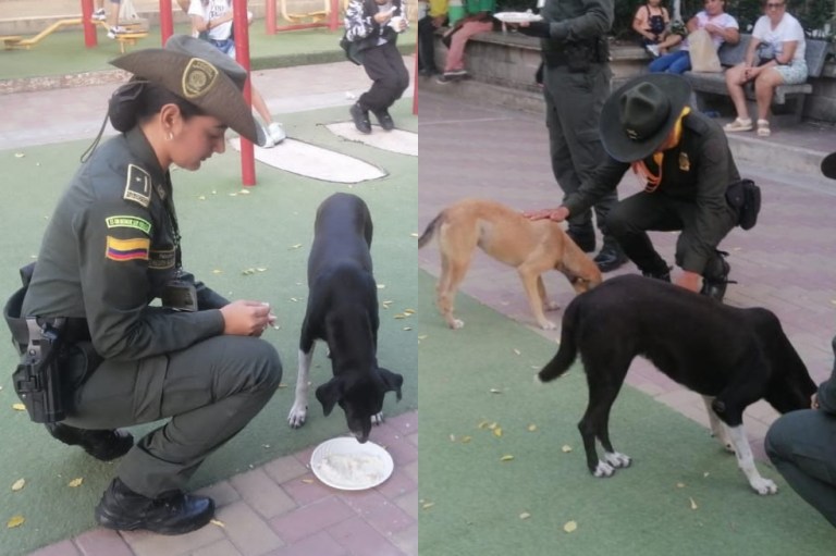 Feliz Navidad: Policía realiza cena navideña para perros abandonados en Atlántico