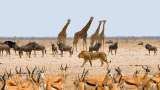 5 lugares imperdibles de Namibia
