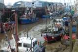 Pescadores en el mundo aumentan mientras sus capturas caen por disminución de peces