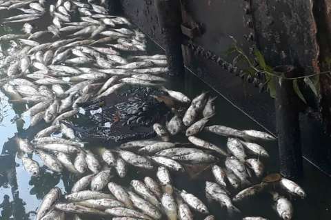 La pelea entre una ciudadana y Ecopetrol por emergencia ambiental en Barrancabermeja
