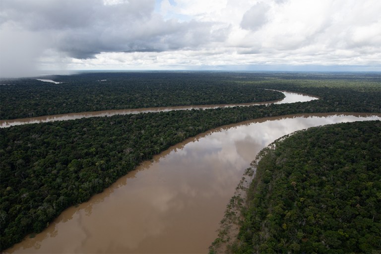 Arman el rompecabezas de los ecosistemas del mundo