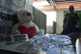 El “narcopeluche”: un oso de felpa con más de 500 cigarrillos de marihuana adentro