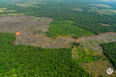 Brasil dio avance a siete proyectos de exploración de oro en la Amazonía