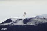 “Erupción del volcán Nevado del Ruiz sigue latente; no bajemos la guardia”: SGC