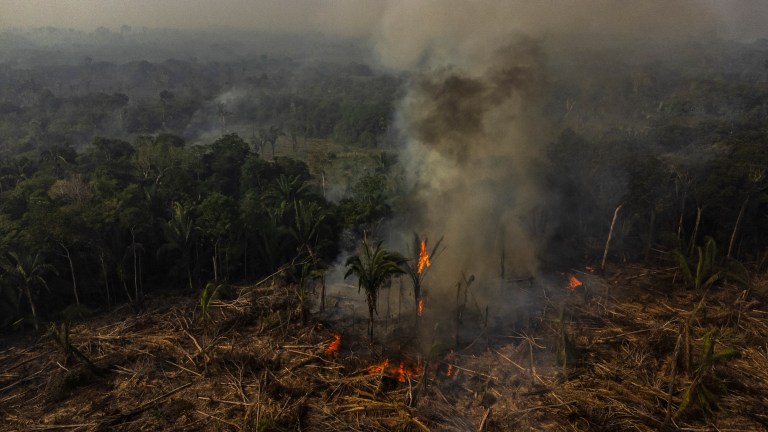 ONU busca incorporar el “ecocidio” como crimen internacional