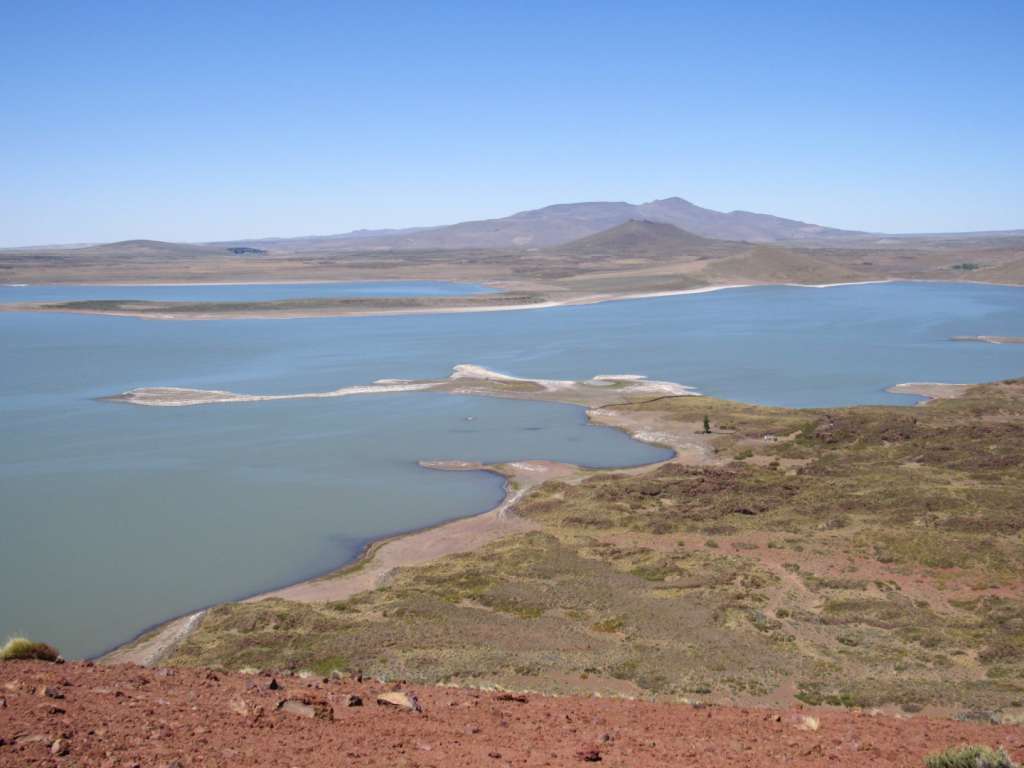 Imagen del Parque Nacional Laguna Blanca, en Argentina.