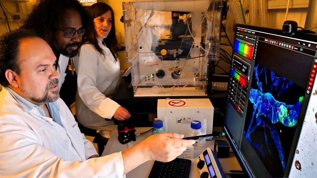 De izquierda a derecha, los científicos Diego Sepúlveda Falla, Nelson Villalba Moreno y Lisa Littau, del grupo de Nueropatología Molecular de la enfermedad de Alzheimer en Hamburgo.