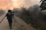 150 incendios forestales se han presentado en Santa Marta (Magdalena) en el 2021