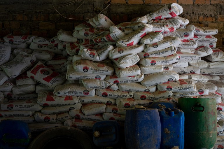 (Video) Crisis de la coca en el cañón del Micay: campesinos al borde del hambre