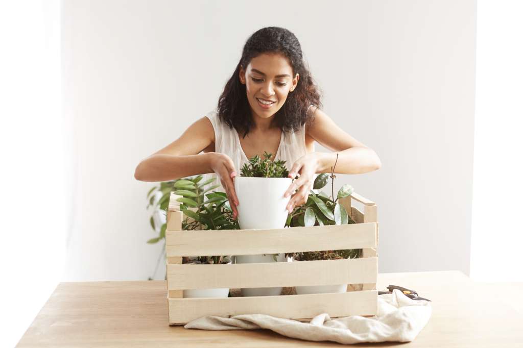 Mudanza con plantas