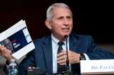 Anthony Fauci, asesor médico de Biden, denuncia a senador por amenazas de muerte