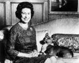 La reina Isabel II y los perros: los otros amores de la monarca