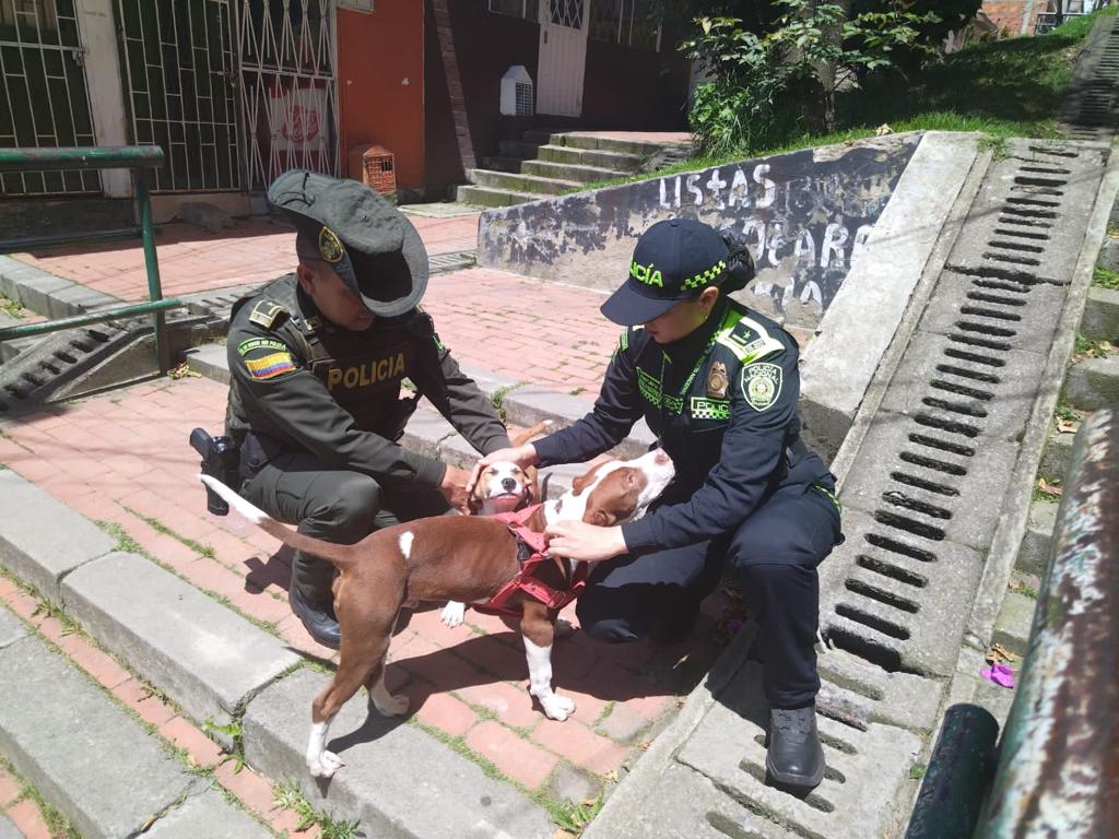 Aún se desconoce si se tomarán acciones judiciales en contra del agresor.