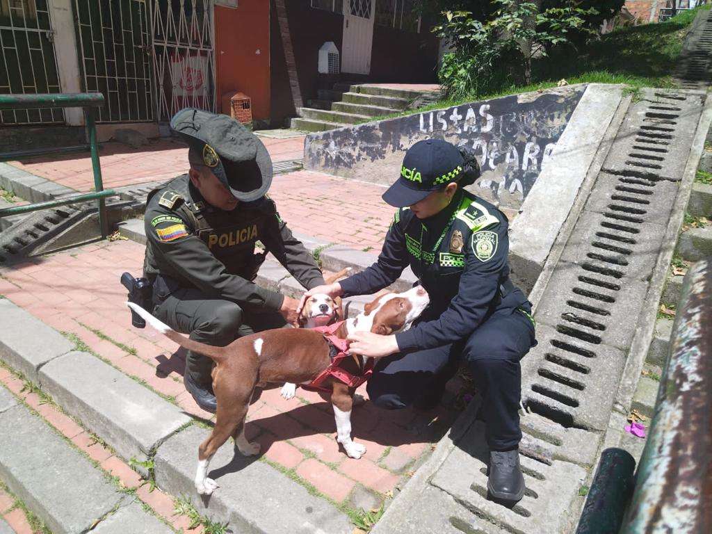Aún se desconoce si se tomarán acciones judiciales en contra del agresor.