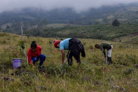 Los desafíos del laboratorio de paz del Cauca