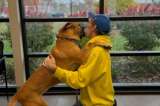 El emotivo reencuentro de un hombre con su perrita luego de superar el cáncer