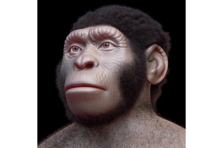 La antigua especie Homo naledi habría enterrado a sus muertos hace 200.000 años