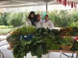 Prográmese este fin de semana con el Fagua Fest en Chía, Cundinamarca