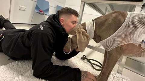 Joven puso en venta su casa para salvar la vida de su perro