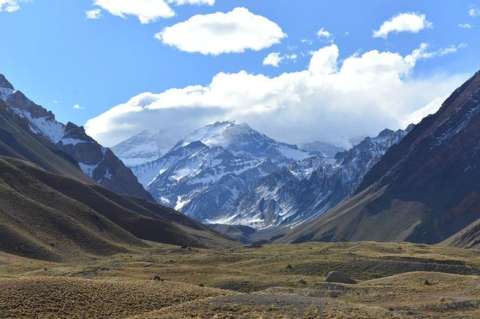 Descubren dos nuevas especies de plantas en los Andes peruanos