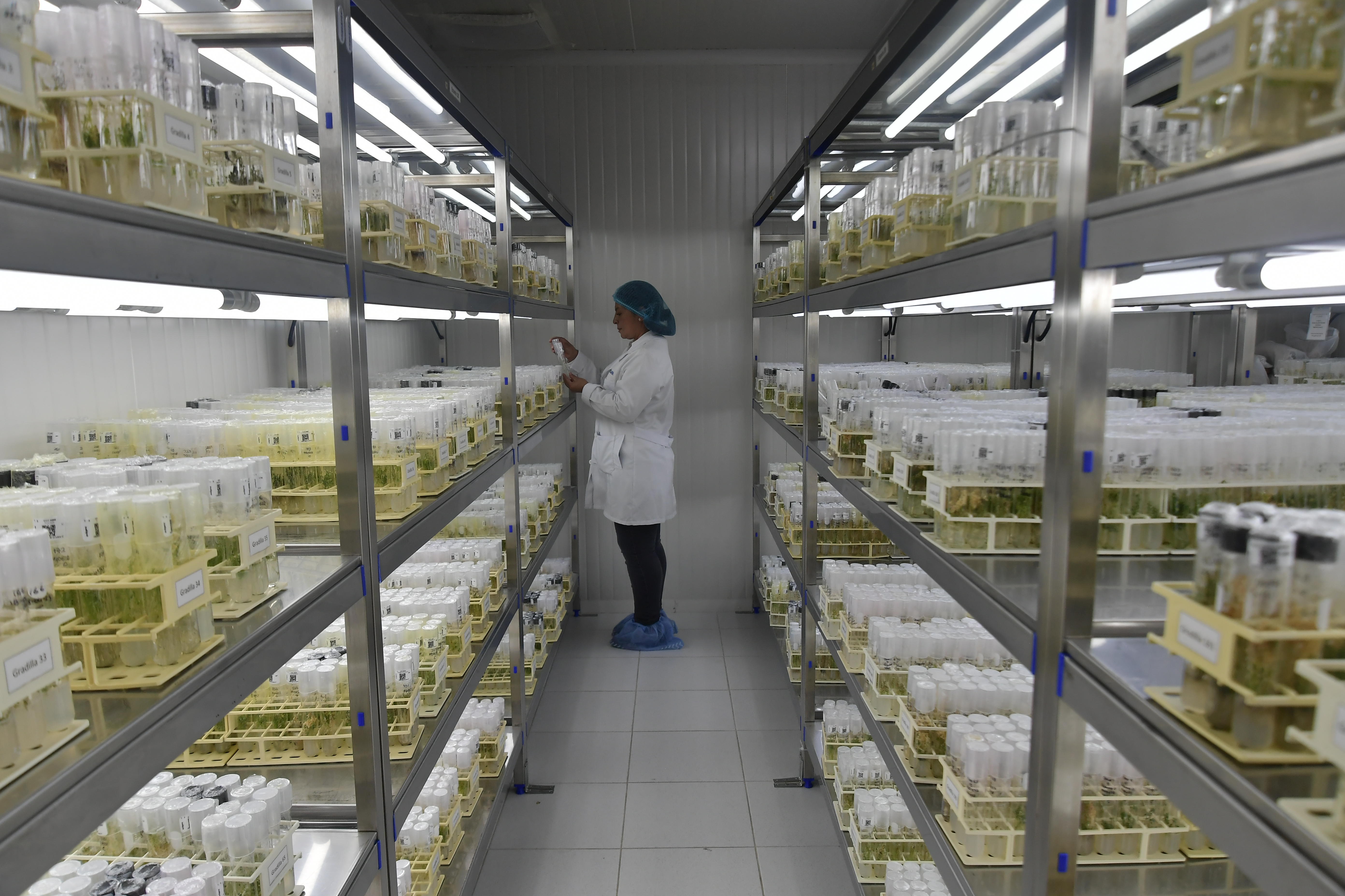Entidad de ciencia, tecnología e innovación ubicada en el municipio de Mosquera, que contribuye al cambio técnico para mejorar la productividad y competitividad de la agricultura en Colombia.