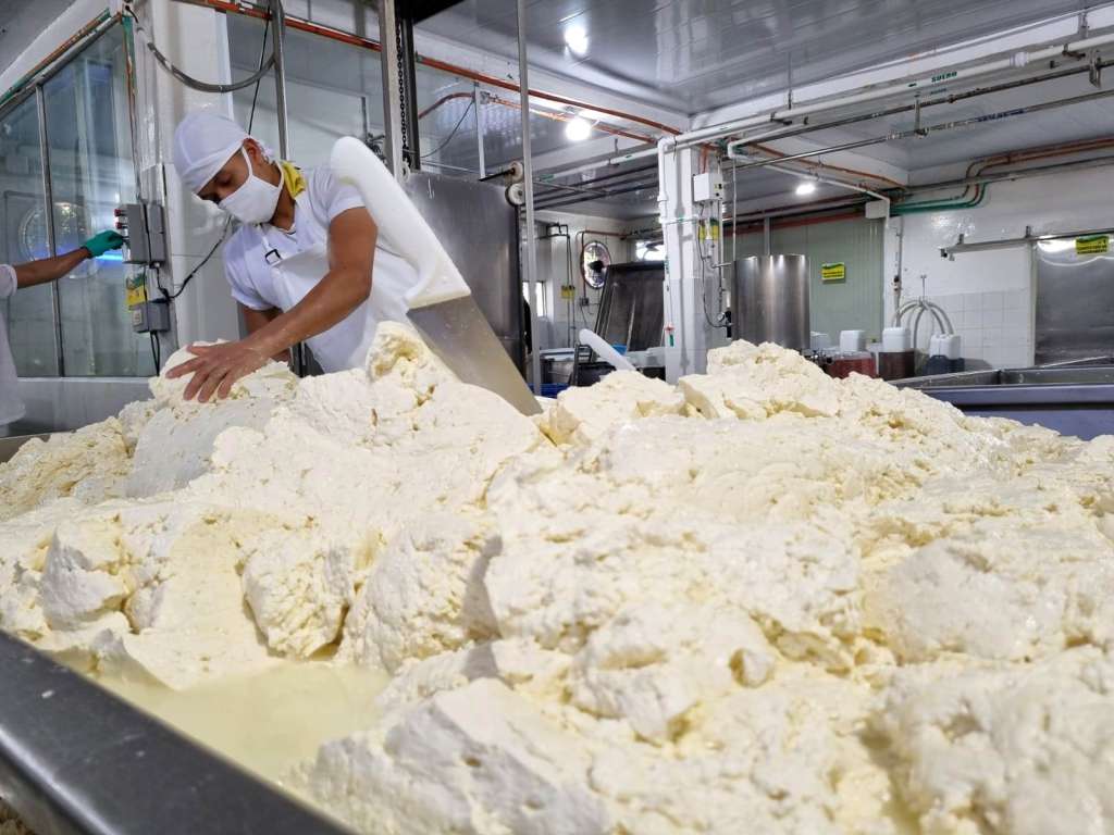El 50 % de la producción del queso en Caquetá se hace de manera informal.