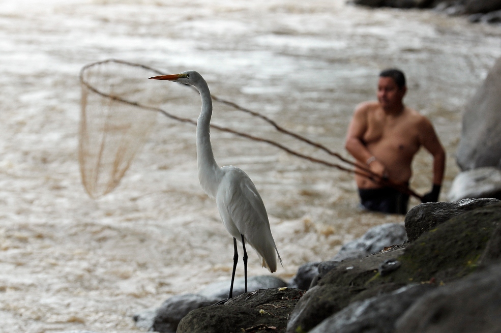 Pescadores tradicionales utilizan el cóngolo en su faena, el 15 de agosto de 2021, en el río Magdalena, en Honda (Tolima). A las seis de la mañana los pescadores de Honda, en el centro de Colombia, salen a buscar su sustento en las orillas del río Magdalena, el principal del país, una faena con la que reivindican este cauce, enturbiado por el conflicto armado, como un río de vida y esperanza. EFE/ Mauricio Dueñas Castañeda