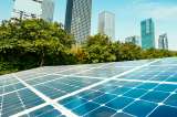 Las Empresas B son negocios comprometidos con la sociedad y el medio ambiente