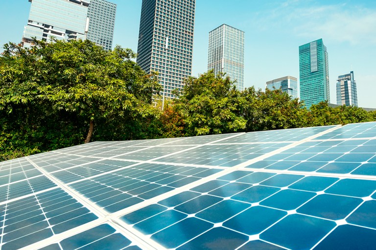 Las Empresas B son negocios comprometidos con la sociedad y el medio ambiente