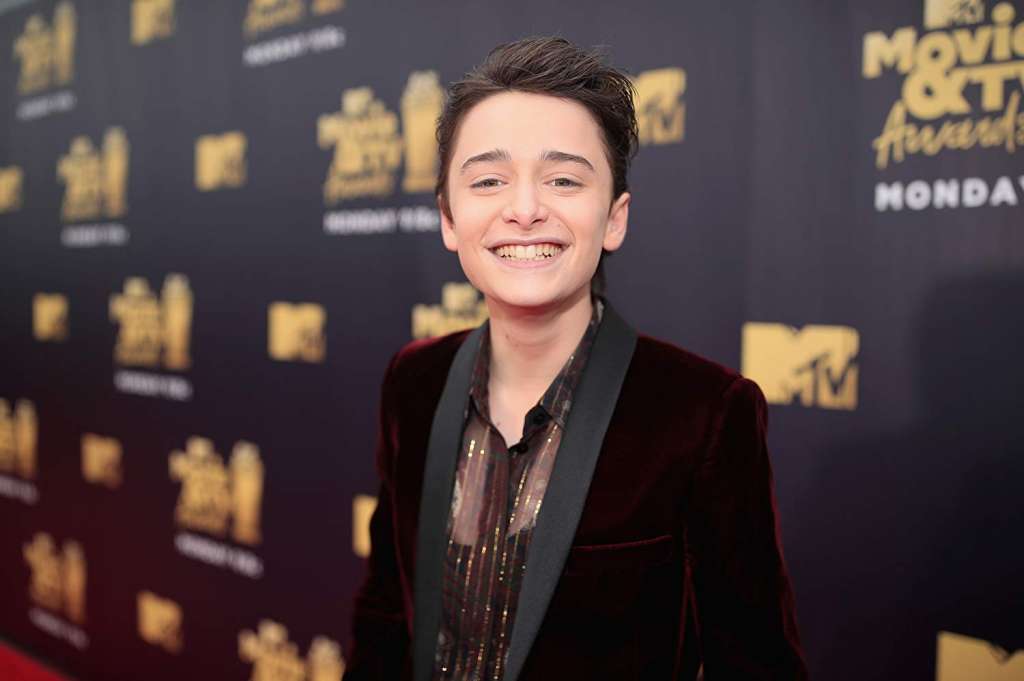 El actor Noah Schnapp. / Tomada de Imdb.com