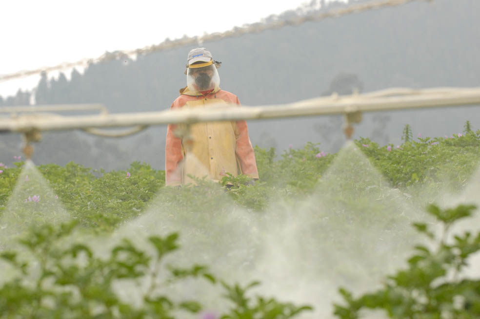 El agro colombiano depende de proveedores internacionales de insumos como Rusia, Venezuela, Holanda, Estados Unidos, Canadá y Alemania. / Archivo