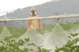 Colombia, campeón mundial en precio de fertilizantes