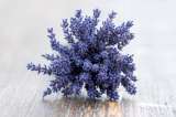 Beneficios de la lavanda: cómo ayuda con la ansiedad y la depresión