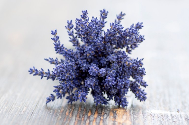 Beneficios de la lavanda: cómo ayuda con la ansiedad y la depresión