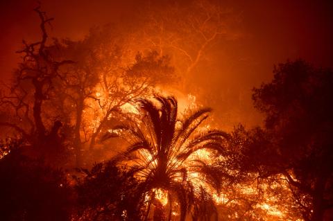 Más de 1.000 hectáreas consumidas y miles de desplazados por incendio en Malibú