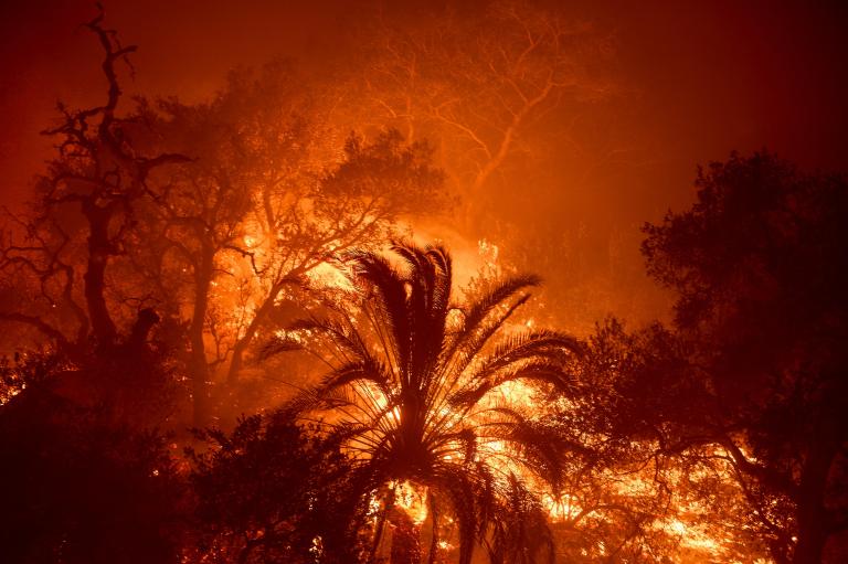 Más de 1.000 hectáreas consumidas y miles de desplazados por incendio en Malibú