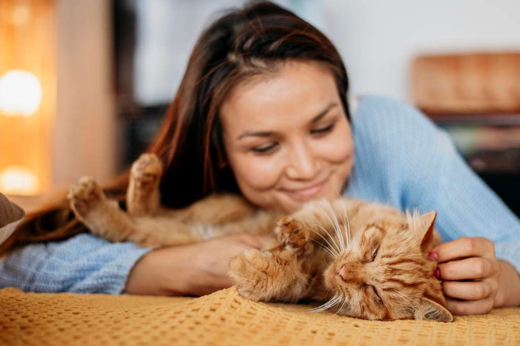 ¿Qué hacer para que un gato sea más cariñoso?