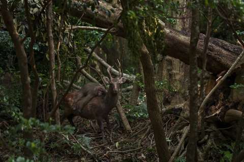 Las mejores fotos de la vida silvestre en 2023