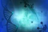 Gran apuesta por cuántos genes tienen los humanos